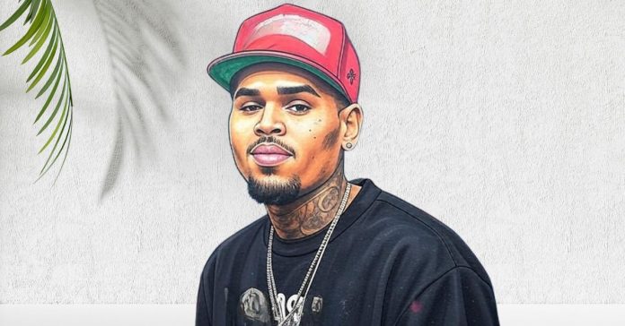 Chris Brown Tour Review 2025